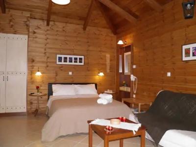 Ninemia Stay and Play - 5