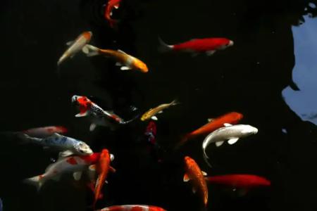 Riversoul Boutique - 42