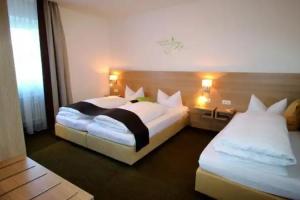 Hotel Vitis, Erding