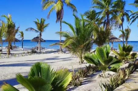 The Sands Beach Resort - 79