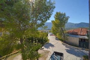 Levante taverna studios