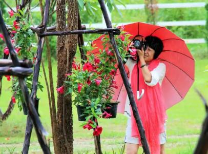 Family House Zen Boutique Resort - 30