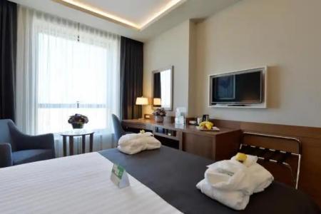 Holiday Inn Bursa - City Centre, an IHG - 126