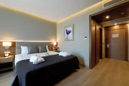 Holiday Inn Bursa - City Centre, an IHG - 120