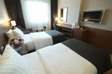 Holiday Inn Bursa - City Centre, an IHG - 137
