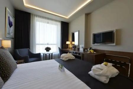 Holiday Inn Bursa - City Centre, an IHG - 135