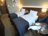 Standard Double room with balcony and with city view