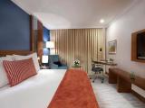 Superior Double room with city view