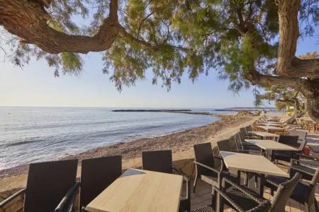 Ilusion Moreyo - Adults Only - 25