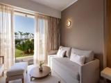 Deluxe Double room with pool view