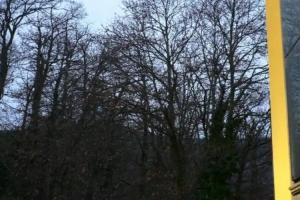 Benito Al Bosco, Velletri