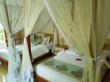 Deluxe Double room with view