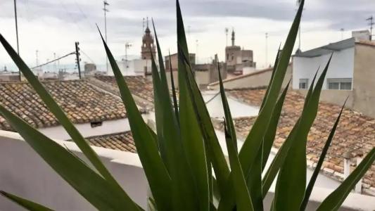 MD Design - Portal del Real - 23