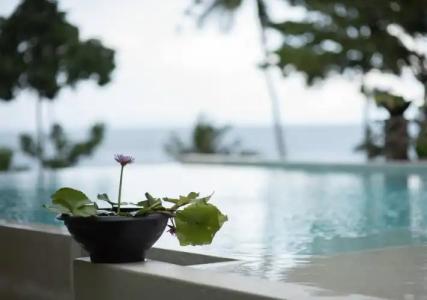 Nest Sense Resort - 16