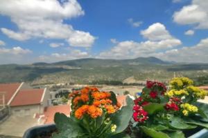 Nofesh Baatika, Safed