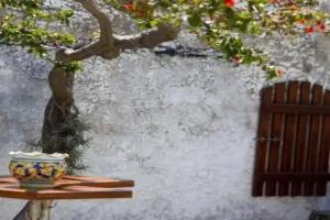 La Locanda del Barbablù, Stromboli