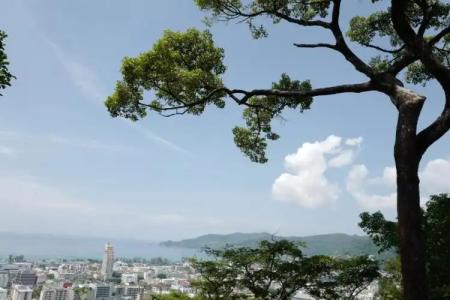 Sunset Bay View Phuket - 10