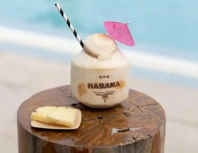 Kimpton Angler’s South Beach, an IHG - 44