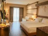 Superior Double room with garden view