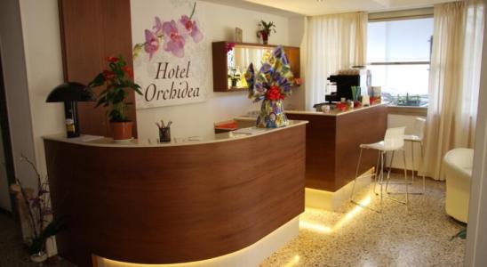 Orchidea - 13