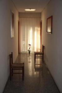Orchidea - 14