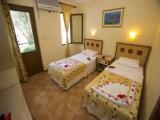 Standard Double room with balcony and with mountain view