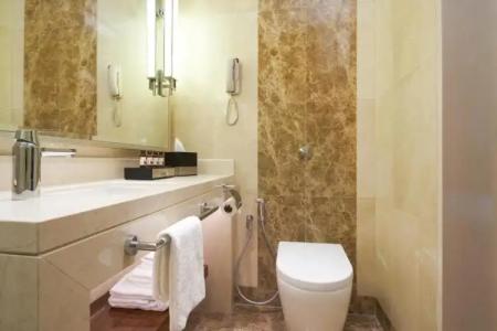 Holiday Inn Singapore Little India, an IHG - 52