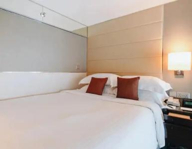 Holiday Inn Singapore Little India, an IHG - 33