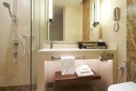 Holiday Inn Singapore Little India, an IHG - 53