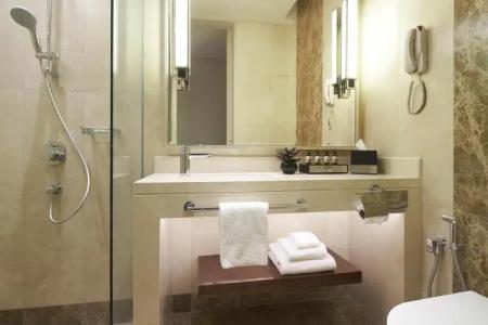 Holiday Inn Singapore Little India, an IHG - 8