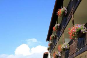 Hotel Alpenblick Berghof, Halblech