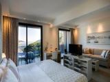 Superior Double room with balcony and with park view