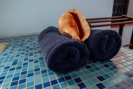 Zanzibar Palace - 156