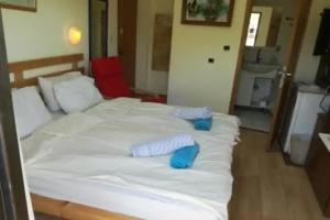 Zimmer Barzilay, Arad
