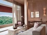 Premium Suite