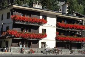 Appartamentinid, Valtournenche