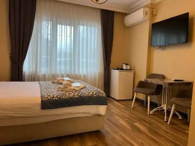 Sultanahmet Inn - 155