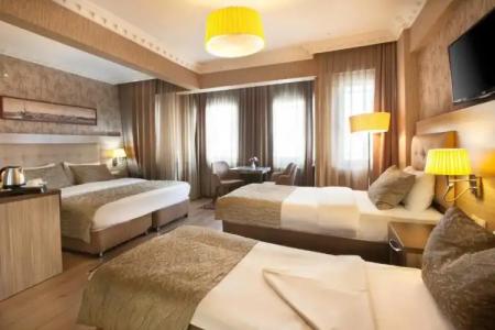 Sultanahmet Inn - 133