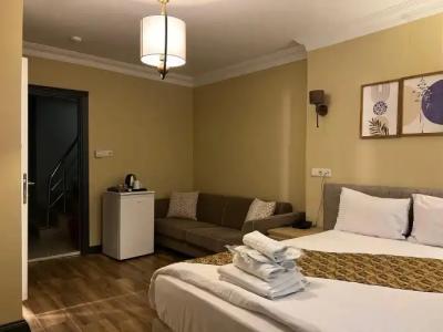 Sultanahmet Inn - 112
