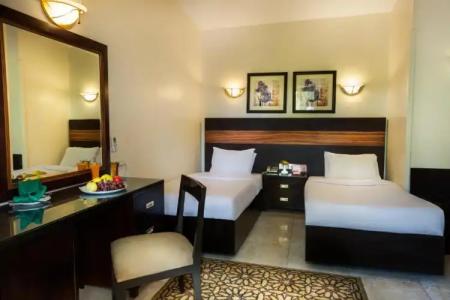 Obelisk Nile Aswan - 65