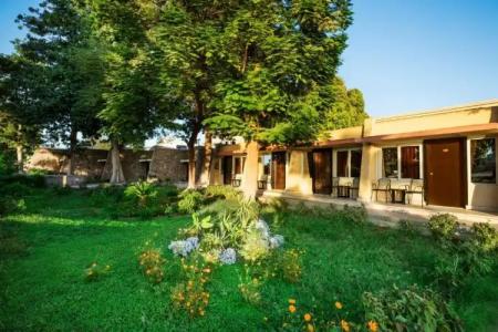 Obelisk Nile Aswan - 63