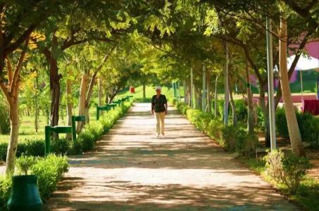 Obelisk Nile Aswan - 17