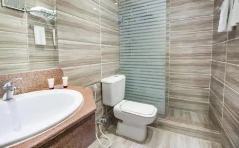 Obelisk Nile Aswan - 59