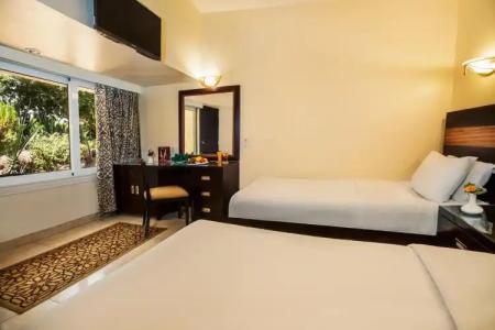 Obelisk Nile Aswan - 31