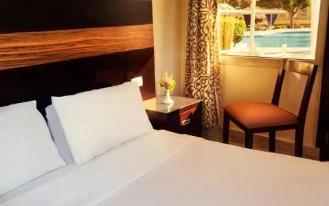 Obelisk Nile Aswan - 79