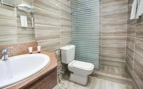 Obelisk Nile Aswan - 9