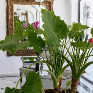 Caramel Grecotel Boutique Resort - 64