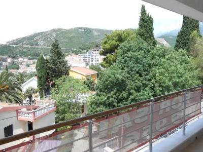 Apartment-Vila Petrovic-Becici - 23