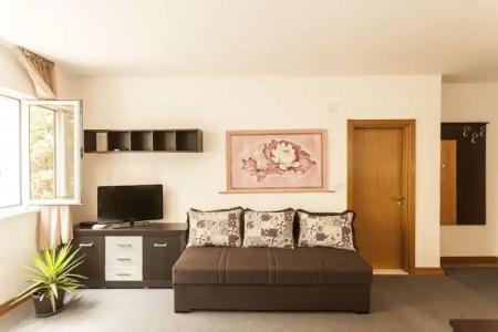 Apartment-Vila Petrovic-Becici - 104