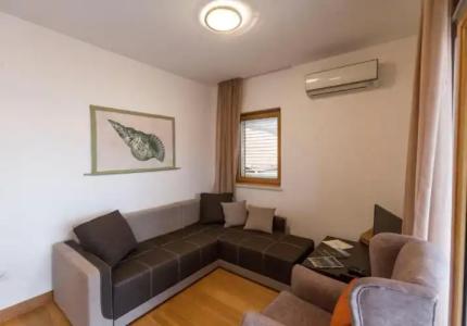 Apartment-Vila Petrovic-Becici - 3